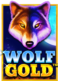 วิธีเล่น เว็บ สล็อต pp สำหรับมือใหม่ 2023